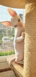 IMG_20220916_1206261
