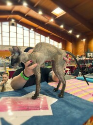 IMG_20250428_1449241