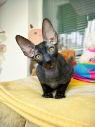 IMG_20250522_1803251