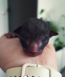 IMG_20250227_1552091