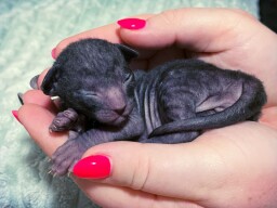 IMG_20250303_2302221