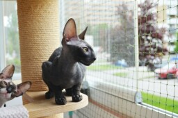 IMG_20250619_2007171